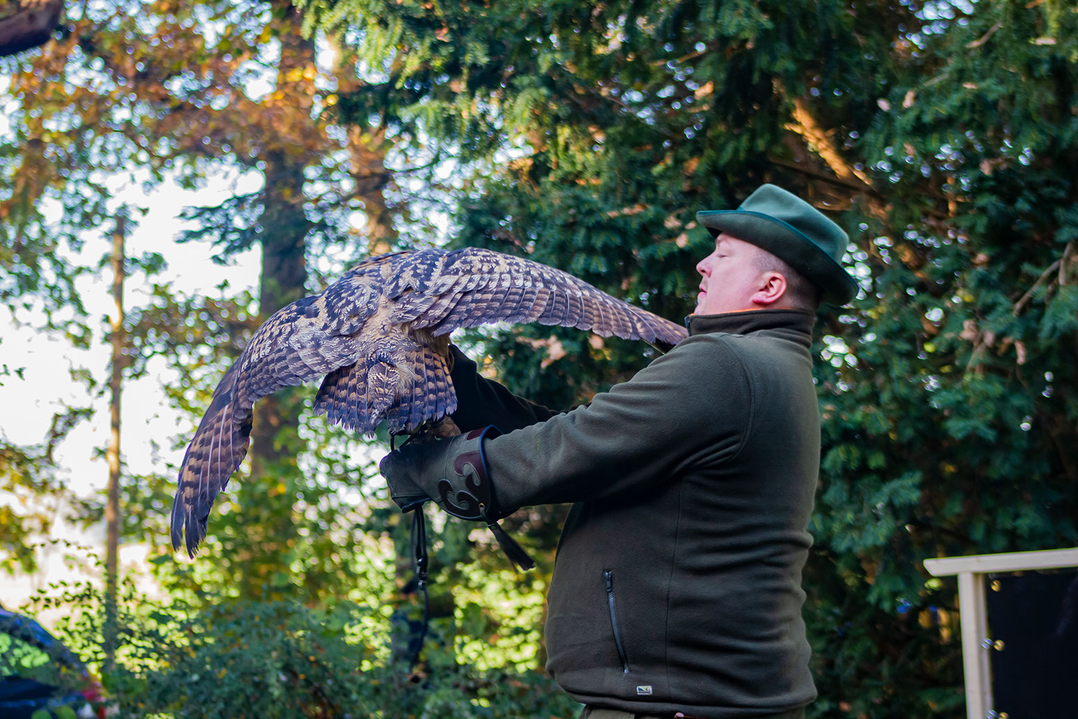 Uhu und Falkner, Falkner für einen Tag, Jagdfalkenschule Daniel Aebker