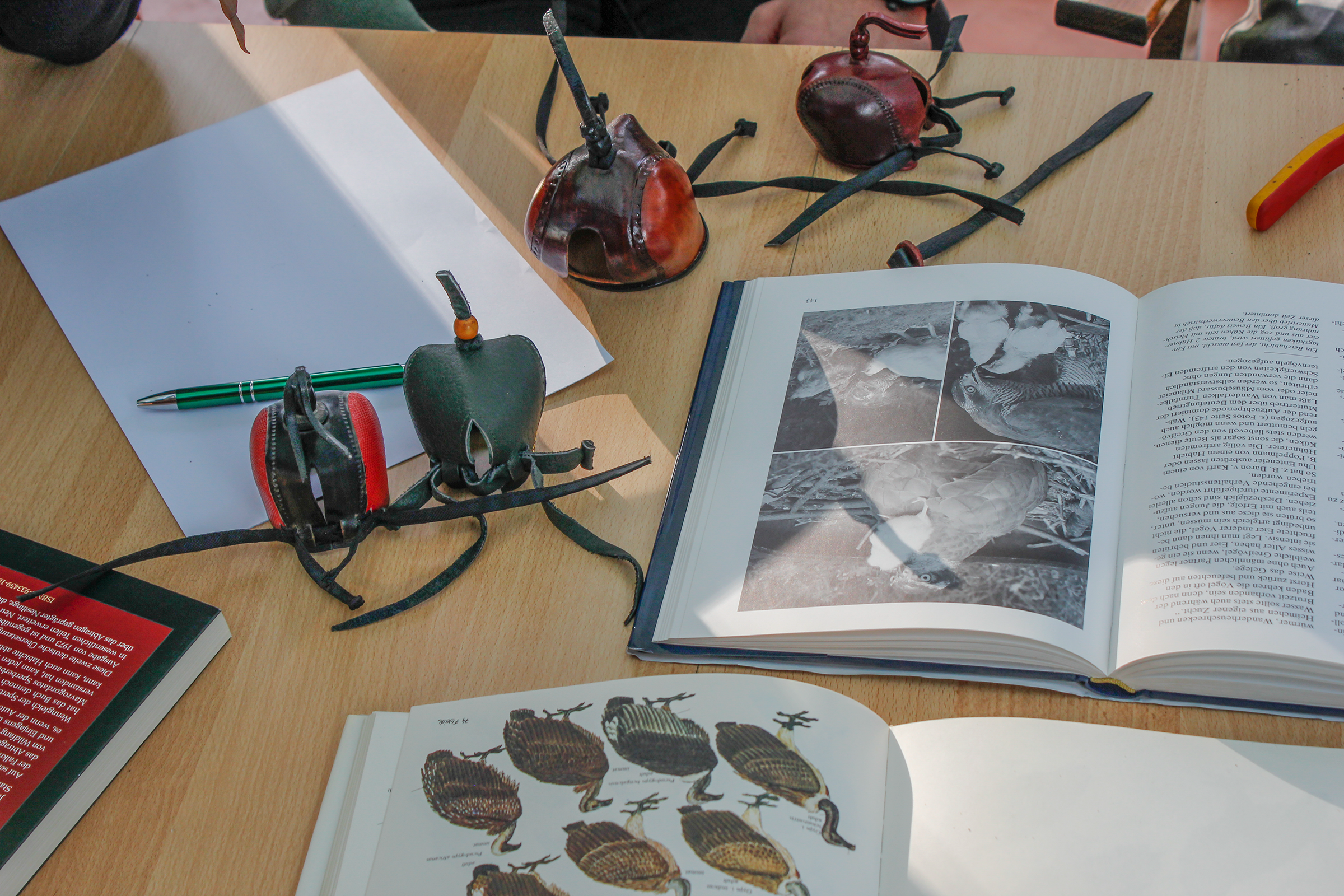 Falknerknoten, Vorbereitungskurs zur Falknerprüfung, Unterricht, Jagdfalkenschule Daniel Aebker